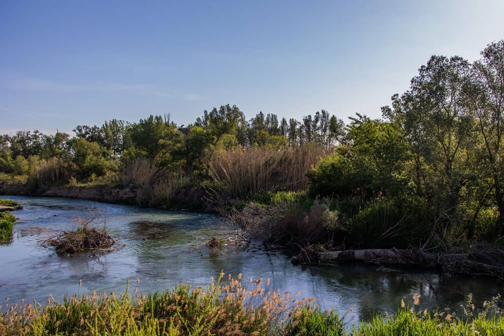 Wildlife Habitat Improvement